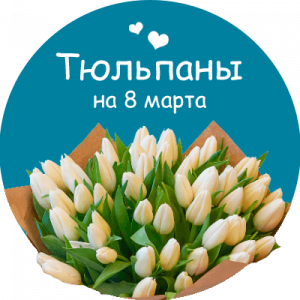 Купить тюльпаны в Кропоткине